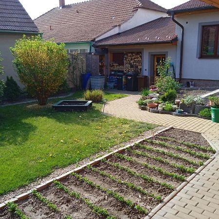 Apartment Anna Šakvice Dış mekan fotoğraf